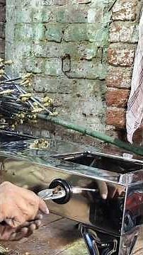 Modern Gas Stove Production | Industrial Manufacturing Process