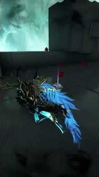 Voruna Prime's Kit in 60 Seconds #warframe #warframegameplay