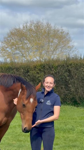 🎤 Meet our 2025 locum vet Hollie 👋 With five years’ experience as an equine vet, Hollie has joined us in New Zealand at Windsor Park for the 2025 breeding season, to assist during a busy time on the farm 🐴🩺. A lucky find for us, at the recommendation of our previous resident vet, Pat Sells. While she’s here, Hollie has been working closely with the teams at both Windsor Park and Mapperley, bringing her expertise and lending a hand wherever is needed throughout the season. She soon returns to