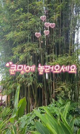 4/21(화) 윈난 민족촌 #여행 #쿤밍 #곤명 #운남성 #윈난성 #윈난민족촌 #운남민족촌 #중국 #kunming #lijiang