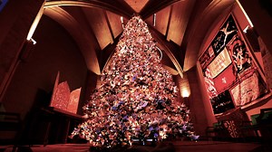 Hundreds of people attended the tree lighting ceremony filled with beautiful songs and inspirational speakers. | Localish