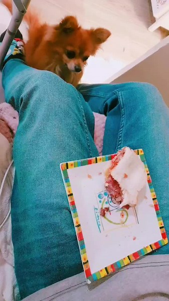 Bonnie Lass on TikTok