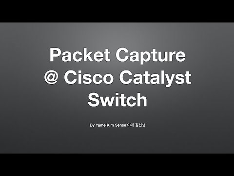 [ENG] Packet Capture @ Cisco Catalyst #wireshark #EPC #Embedded Packet Capture