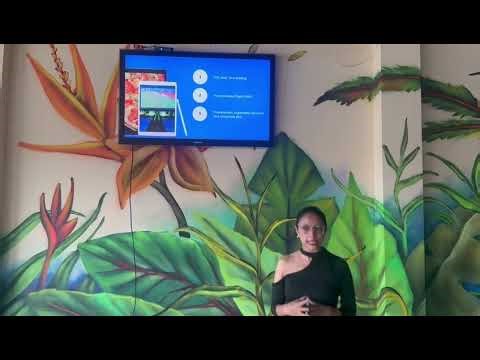 Presentación de estrategia de compra programática