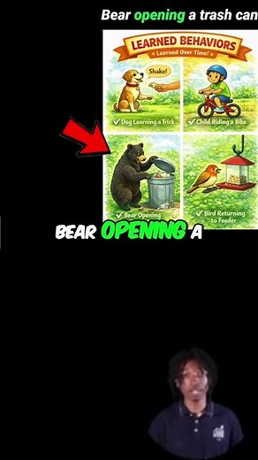 Learned Behaviors: How Animals and Humans Acquire Skills #shorts