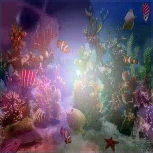 Dora The Explorer S01E23 Te Amo