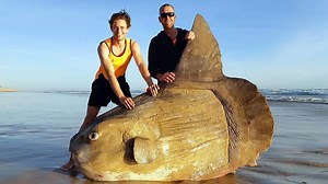 Most bizarre things to wash up on the beach