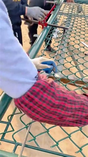 Expert Techniques for Securing and Stretching Mesh on a Metal Frame
