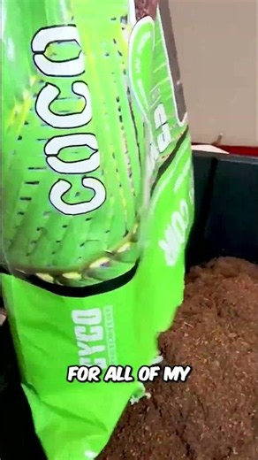 Autoflower Growing: Ultimate Coco Coir Soil Mix Guide #shorts
