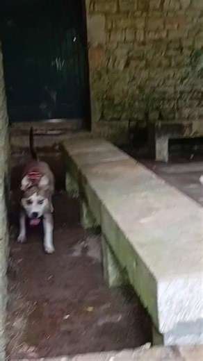 Se matin cache cache avec miss Haha mdr Echire 79 | Blandine Ivens