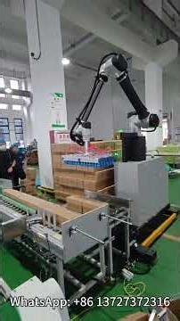 Collaborative Palletizing Robot