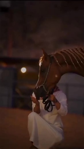 استمتع بجمال الاختلافات في البشر