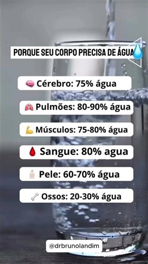 A água é um dos elementos mais fundamentais para o funcionamento do nosso organismo.