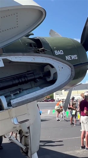 Walking Around A Skyraider #warbird #warbirds #airplane #ww2 #flying #museum #history