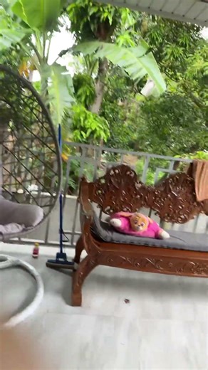 Look at my view in my house in the Philippines