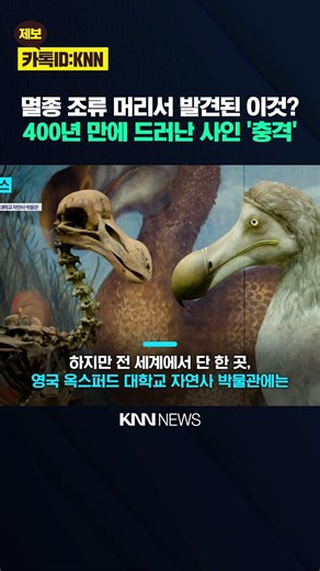 Solving History's Longest 'Unsolved Case'? The 'Truth' Revealed from a 400-Year-Preserved Head / KNN