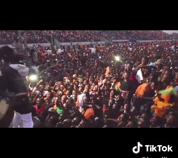 Exploring Fabrigas Metis Noir: A Cultural Guide