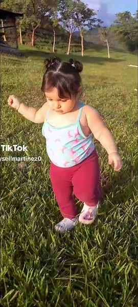 Search Insights: How to Analyze Viral TikTok Hashtags