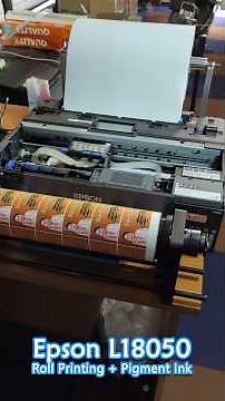 Epson L18050 Roll to Roll Vinyl Sticker Printing