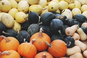 History of the Pumpkin – World-Traveler and Halloween Staple