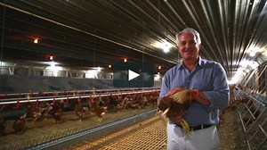 Dixie Egg Company & The Good Egg Project