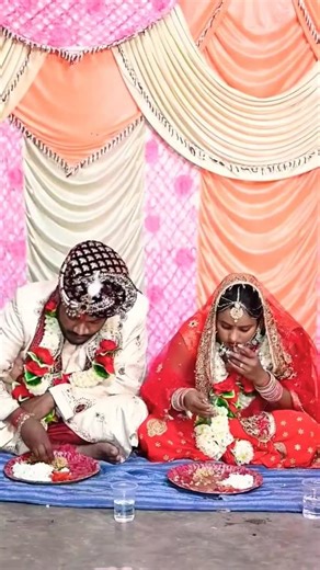 ducking save seriously injured cat#duckrescue #cuteanimals #animalrescue