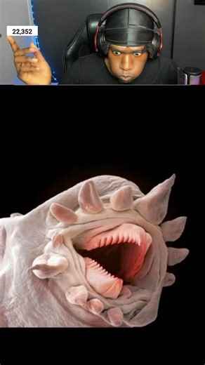 Insects Up Close Look TERRIFYING… 😳 #shorts #animals