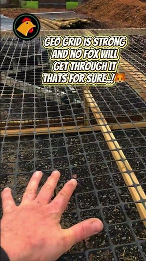 Chicken Tractor Build Explained — Strong, Lightweight & Zero Rust. #chickentractor #smallholding