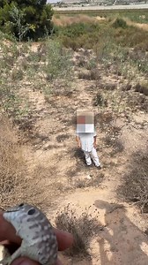 Casi acabamos presos! 🤯#viral #animales #tonifero | Tonifero