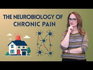 The Neurobiology of Chronic Pain: Understanding a Stuck Alarm System