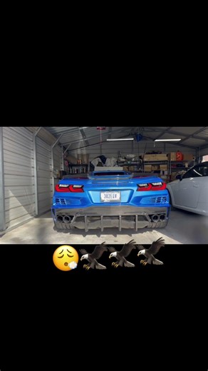 2025 Corvette Eray 3LZ With AWE touring exhaust cold start + revs #customcorvettes #corvettefamily