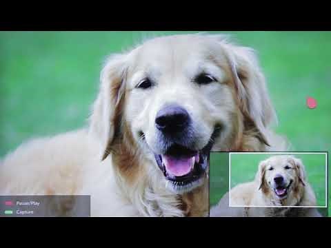 [LG WebOS TV] - Learn how to use live zoom feature in your LG TV