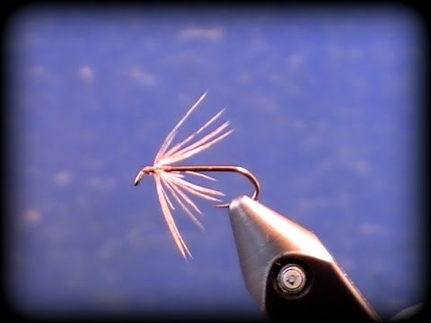 Fly Tying with Hen Hackle: Tips and Techniques