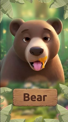 🐻🐻🐻 The Bear, Looking for the Honey 🍯🐝