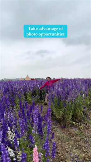 Explore Shropshire Petal Fields This Summer