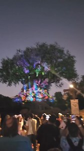 7.3K views · 77 reactions | Celebrate all living creatures at the iconic symbol of Disney's Animal Kingdom Theme Park. | Disney World Packages -Orlando Florida | Facebook