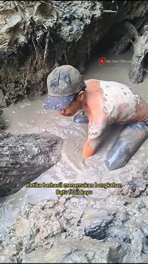 The process of extracting fossilized wood stones