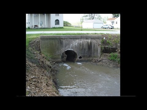 i heard kids screaming in the sewer... (Help)