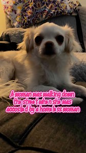 3.2K reactions · 52 comments | The homeless woman #el #petsofinstagram #chihuahua #dog #petcare #shichi #pet #furbaby #doglife | El-Toby Thompson | Facebook