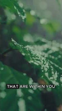 Meditation: Body Scan for Chronic Pain Relief