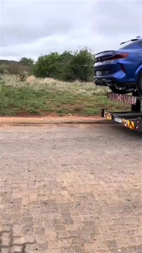 BMW X6 M Competition review 2026: first impressions and features