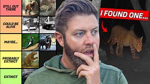 26 Extinct Animals I Believe Could Still Be Alive | Forrest Galante