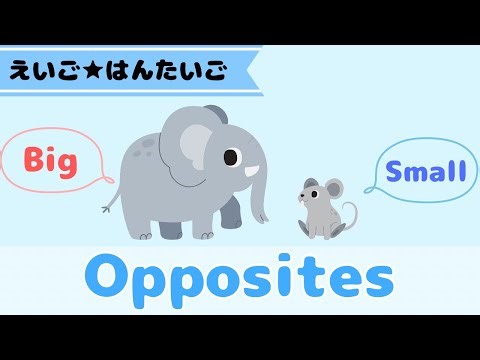【英語】反対の言葉🐘🐀子ども向け/知育/英語学習/楽しく学べる/English/Opposites/Learn