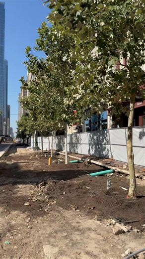 18K views · 274 reactions | Shade is going up on the Promenade! ...