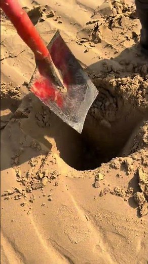 Big Clam Digging Masterclass: Learn Pro Techniques from a Young Pro! ClamDigging Seafood D