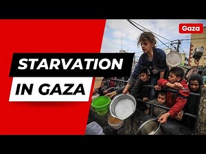 Starving a Nation: The UN Special Rapporteur's Call for Accountability in Gaza, Palestine