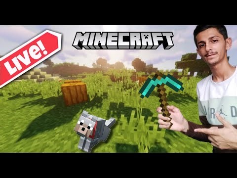 Minecraft Pillager Raid in LIVE Stream!!!
