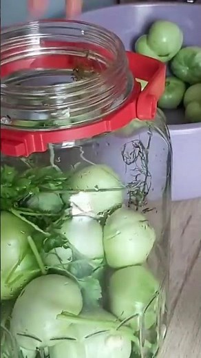 Pickled, barrel-aged green tomatoes for the winter! A quick way to pickle green tomatoes! No vine...