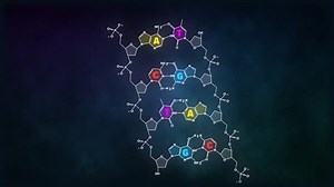 Dna Chemical Structure Animation Spanish Stock Footage Video (100% Royalty-free) 31690462 | Shutterstock