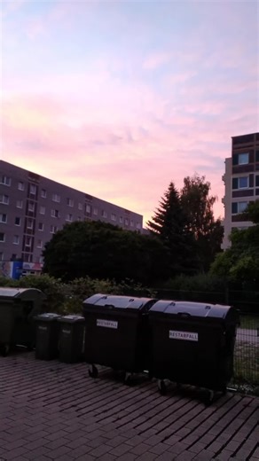 Nicole Müller on TikTok